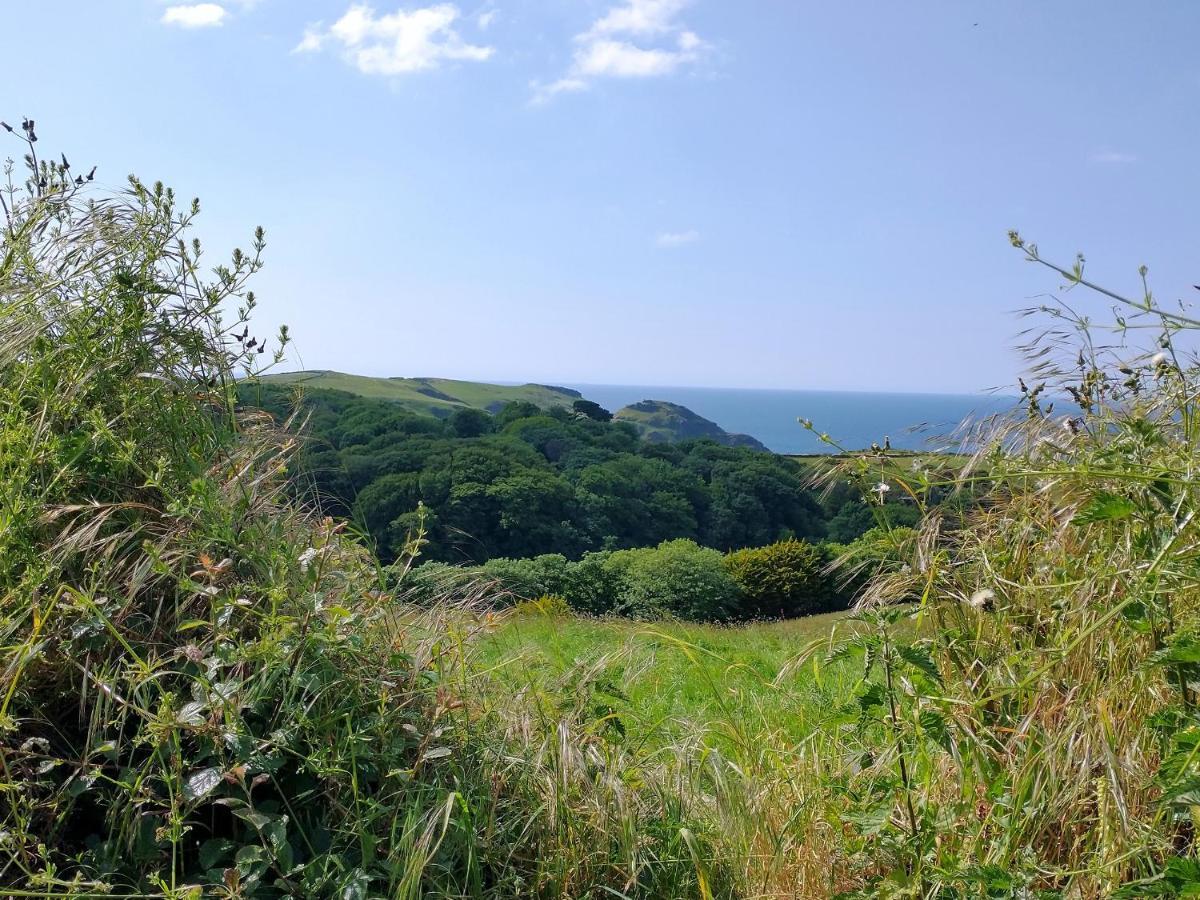 The Mill Βίλα Tintagel Εξωτερικό φωτογραφία